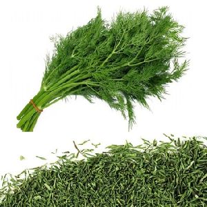 Dill