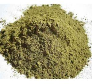 Tulsi Powder