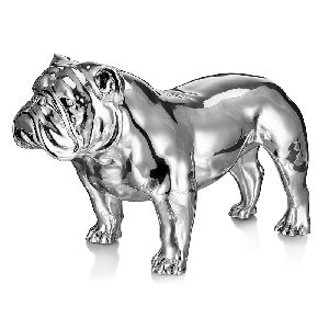 Silver Colored Angus Bulldog