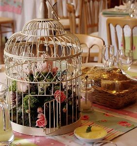 Bird Cage