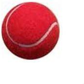 Cricket Tennis Ball