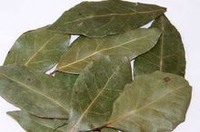 Bay Leaf Dried