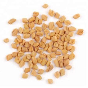 Fenugreek Seed Powder Extract