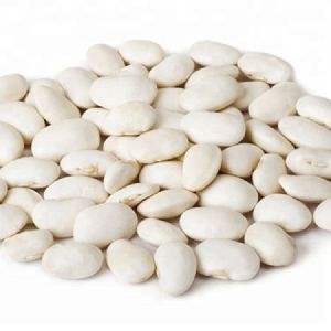 Pure And Natural White Kidney Bean Extract Powder