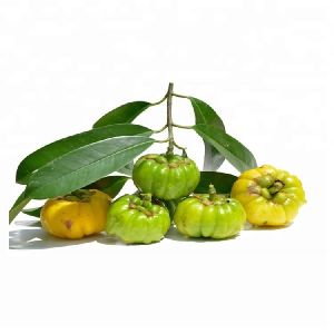 Pure Herbal Garcinia Cambogia Extract