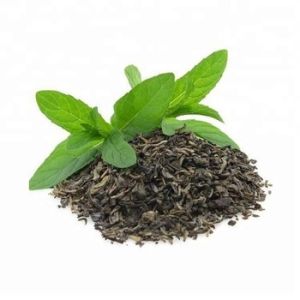 Weight Loss Bulk Green Tea Extract