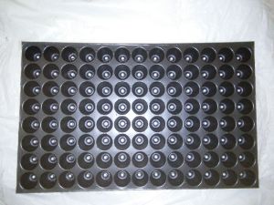 Seedling Tray