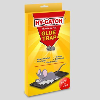 Regular Rat Glue Trap