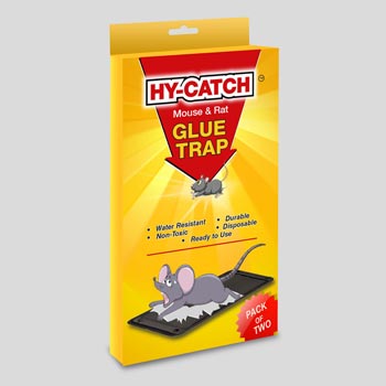 Regular Rat Glue Trap