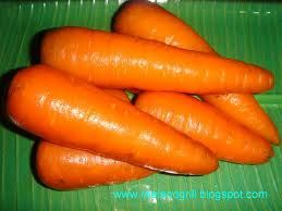 Carrot