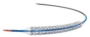 Bare Metal Drug Eluting Stent