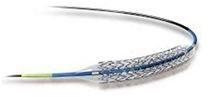 Drug Eluting Metal Stent Coronary