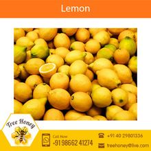 Tangy Fresh Indian Farm Lemon