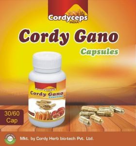 Cordy Gano Capsule