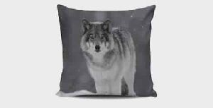 Pillow Cover