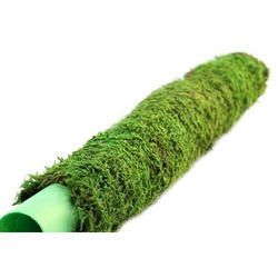 Moss Sticks