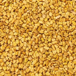 Fenugreek Seed