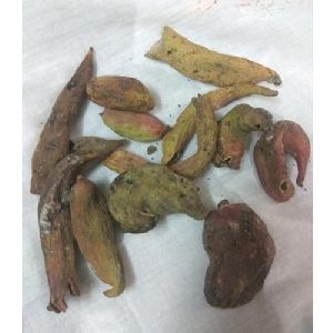 Herbal Kakra Singhi