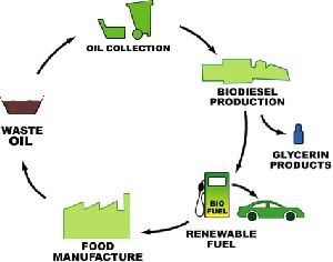 recycle oil