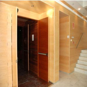 Auditorium Acoustical Doors