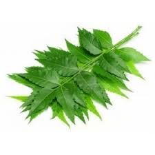 Herbal Neem Leaves