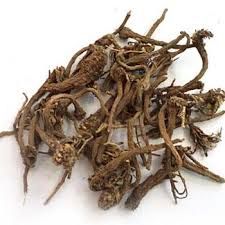 vinca rosea roots