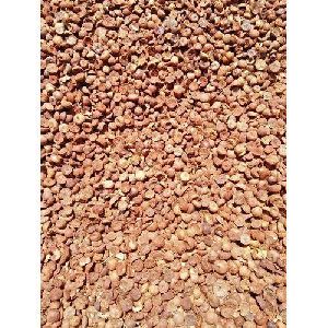 Dried Areca Nuts