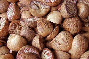 Natural Areca Nuts