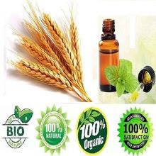 wheat germ carrier oil