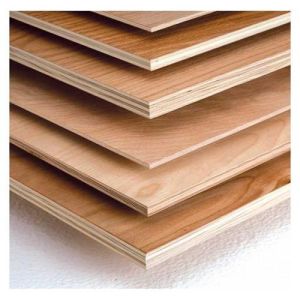 Hardwood Plywood