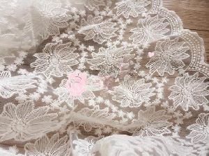 Lace Embroidered Fabric