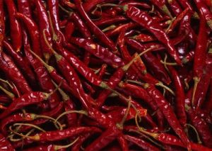 Dried Dark Red Chilli