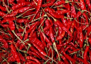 Dried Light Red Chilli