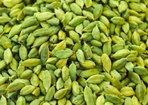 fresh cardamom