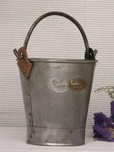 Metallic Flower Pot in Bucket