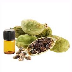 Cardamom Essential Oil