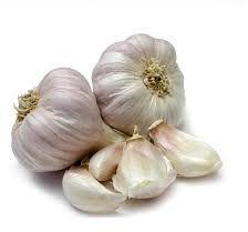 Fresh Garlic