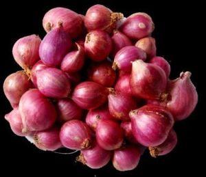 Fresh Small Onion