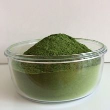 Moringa Powder