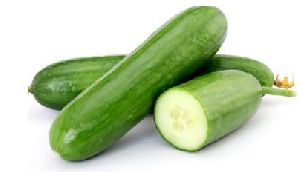 Fresh Cucumber