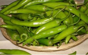 Fresh Green Chilli