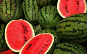 Fresh Watermelon