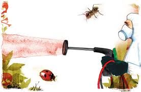 Pest Control Services