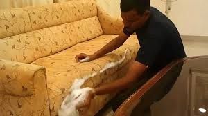 sofa cleaning service