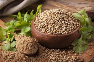 Coriander Seed