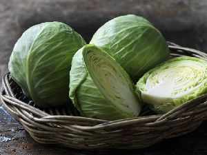 Fresh Cabbage