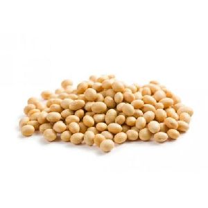 Organic Non GMO Soybean Seed