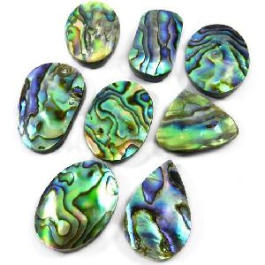 Abalone Shell Cabochon