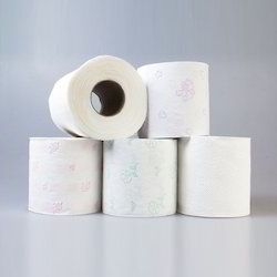 toilet tissue paper roll