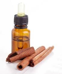 Cinnamon Bark Essential Oil